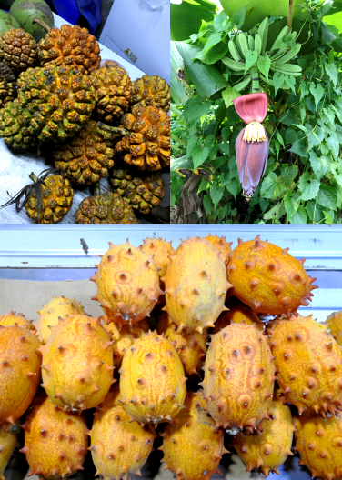 青春飞扬—K8凯发国际2019“巽寮湾双月湾之旅”