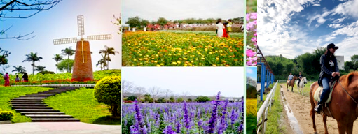 青春飞扬—K8凯发国际2019“巽寮湾双月湾之旅”